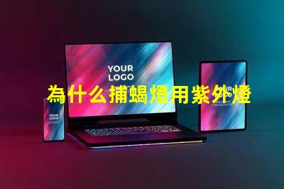 為什么捕蝎燈用紫外燈珠