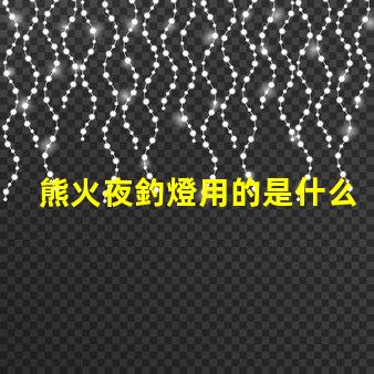 熊火夜釣燈用的是什么燈珠