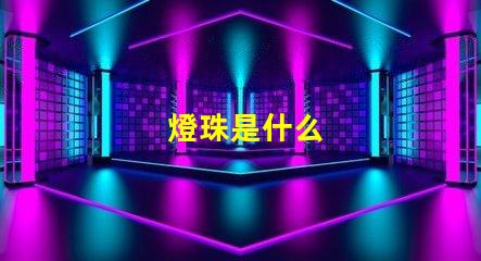 燈珠是什么