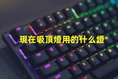 現在吸頂燈用的什么燈珠