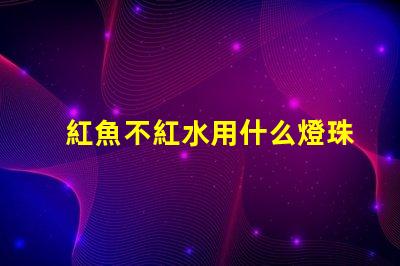 紅魚不紅水用什么燈珠