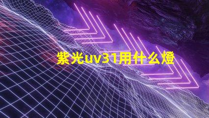 紫光uv31用什么燈珠