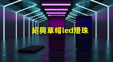 紹興草帽led燈珠