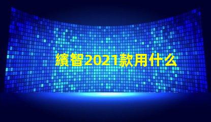 繽智2021款用什么燈珠
