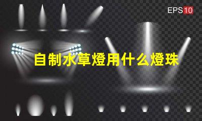 自制水草燈用什么燈珠好