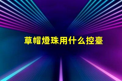 草帽燈珠用什么控臺