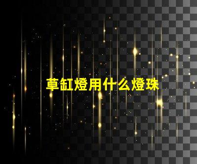 草缸燈用什么燈珠