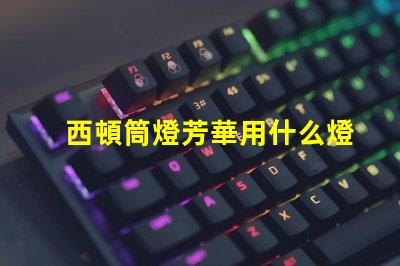 西頓筒燈芳華用什么燈珠