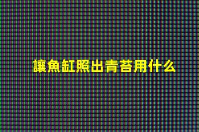 讓魚缸照出青苔用什么燈珠