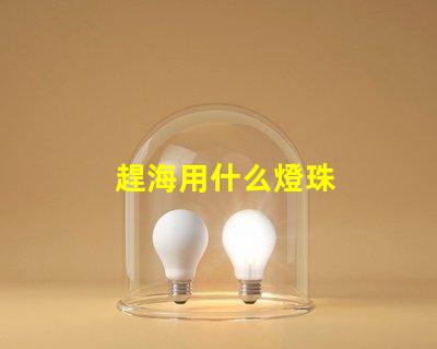趕海用什么燈珠