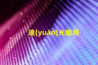 遠(yuǎn)光炮用什么燈珠