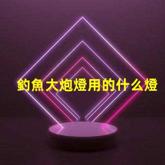 釣魚大炮燈用的什么燈珠