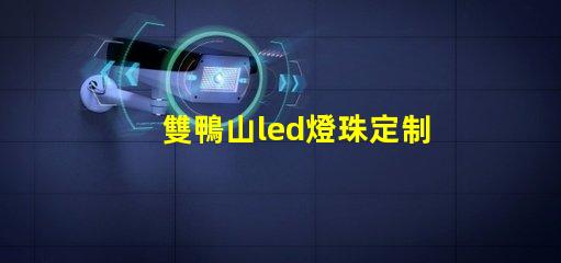 雙鴨山led燈珠定制