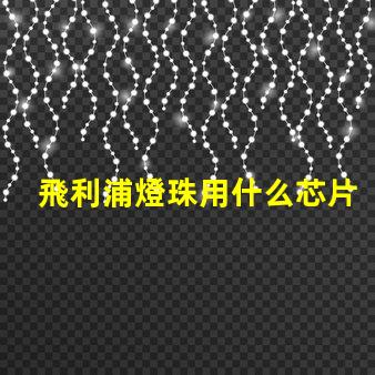 飛利浦燈珠用什么芯片