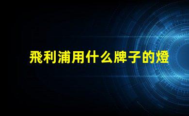 飛利浦用什么牌子的燈珠