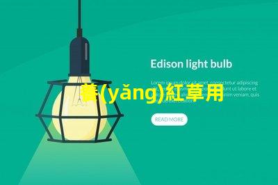 養(yǎng)紅草用什么LED燈珠