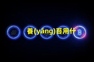 養(yǎng)苔用什么燈珠