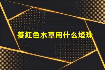 養紅色水草用什么燈珠