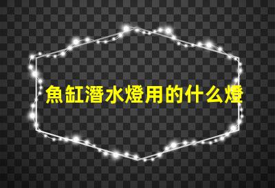 魚缸潛水燈用的什么燈珠