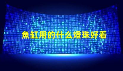 魚缸用的什么燈珠好看耐用