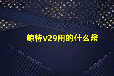 鯨特v29用的什么燈珠